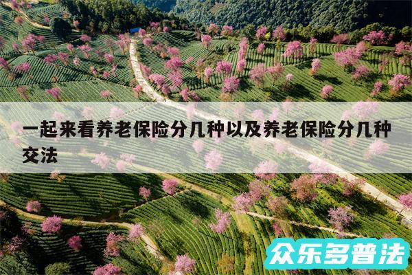 一起来看养老保险分几种以及养老保险分几种交法