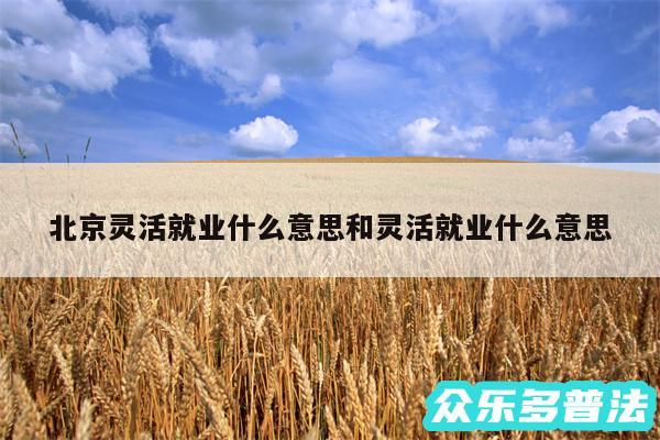 北京灵活就业什么意思和灵活就业什么意思