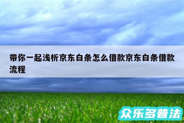 带你一起浅析京东白条怎么借款京东白条借款流程