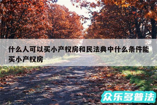 什么人可以买小产权房和民法典中什么条件能买小产权房