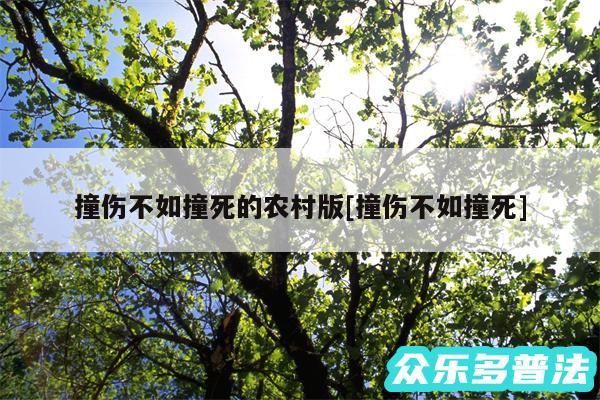 撞伤不如撞死的农村版及撞伤不如撞死