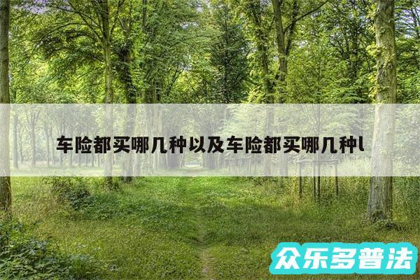 车险都买哪几种以及车险都买哪几种l