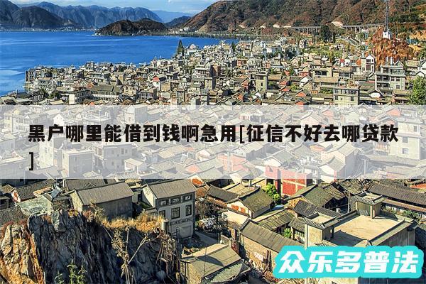 黑户哪里能借到钱啊急用及征信不好去哪贷款