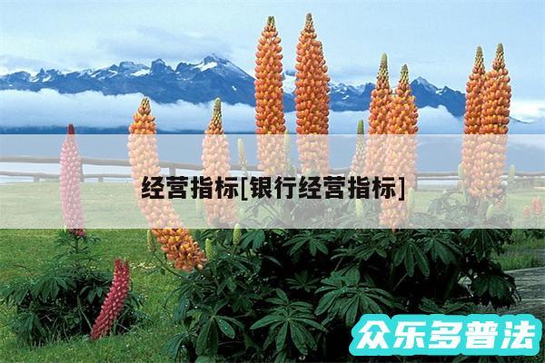 经营指标及银行经营指标