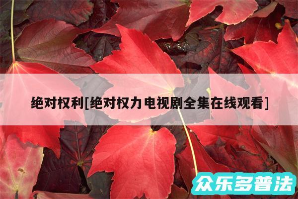 绝对权利及绝对权力电视剧全集在线观看