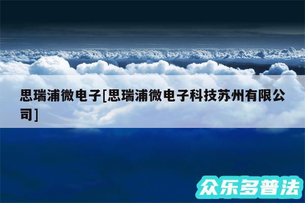 思瑞浦微电子及思瑞浦微电子科技苏州有限公司