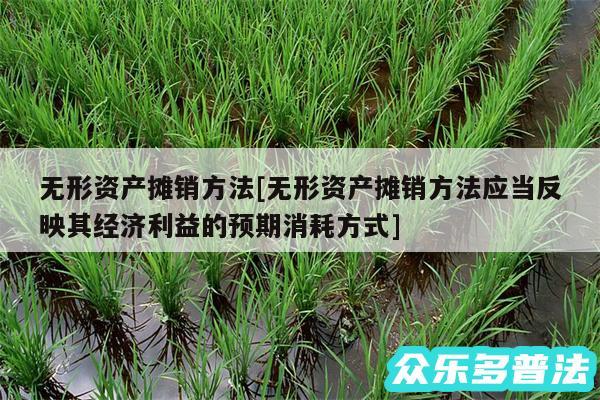 无形资产摊销方法及无形资产摊销方法应当反映其经济利益的预期消耗方式