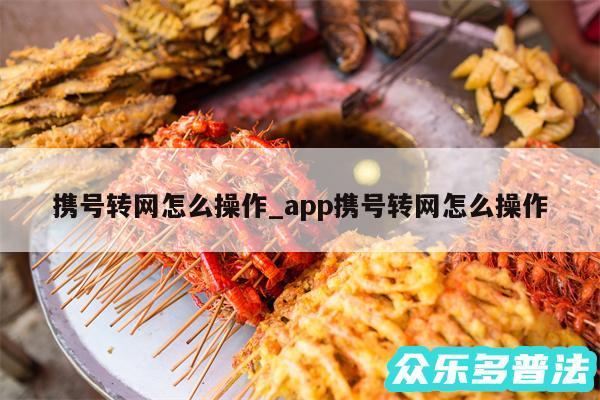 携号转网怎么操作_app携号转网怎么操作
