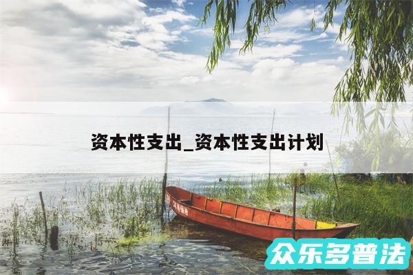 资本性支出_资本性支出计划