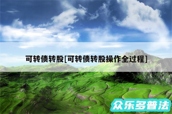 可转债转股及可转债转股操作全过程