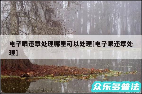 电子眼违章处理哪里可以处理及电子眼违章处理