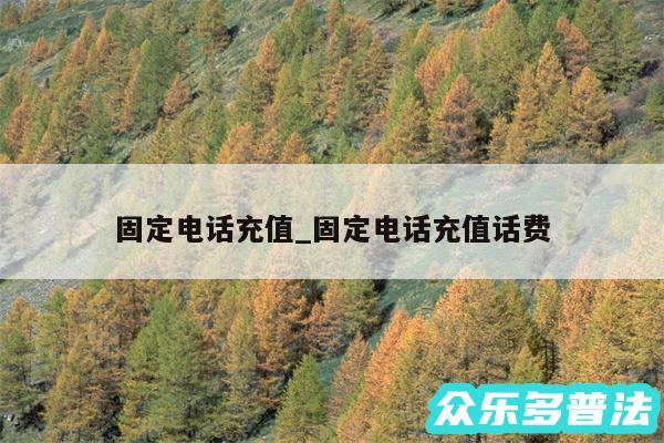 固定电话充值_固定电话充值话费