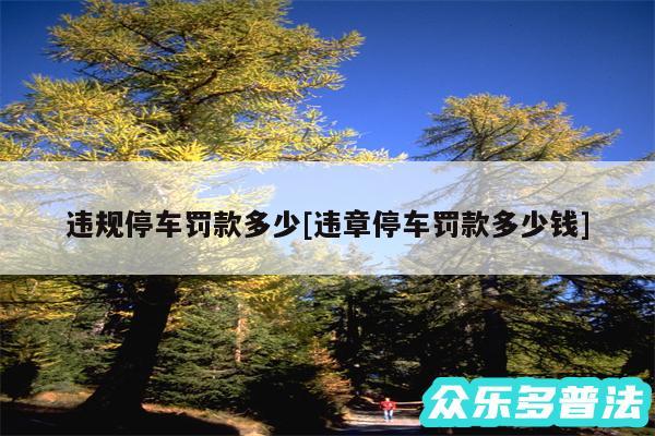 违规停车罚款多少及违章停车罚款多少钱