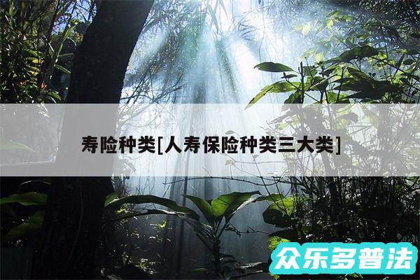 寿险种类及人寿保险种类三大类